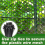 Black Plastic Wire Mesh Fence Roll - 15.7IN X 20FT 10