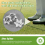 14 Pcs Golf Shoe Spike Replacement Cleat Twist Scr 6