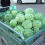 3X4M Heavy Duty Stretchable Cargo Trailer Net Safe 4