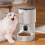 4L WIFI Button Automatic Cat Feeder Intelligent an 4