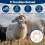 6Pcs Wool Dryer Balls- Premium Natural - Made with 4