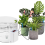 Automatic Watering System Smart Drip Irrigation Ma 6