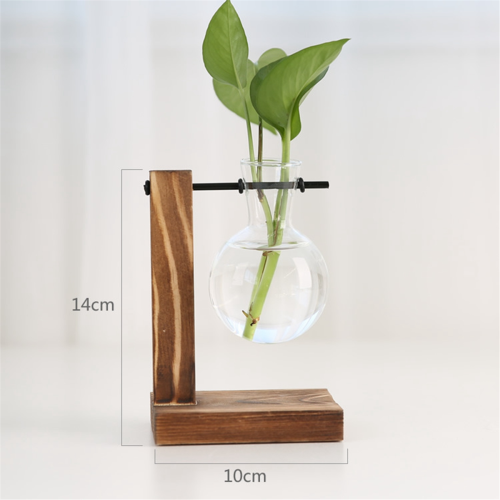 A Plant Propagation Stations Desktop Plant Terrarium 2