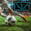 Football Footstep Training Mat, Non-Slip Footstep Training Mat, A 6