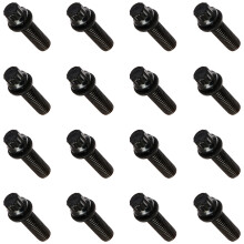 ARP 1352101 Schwarzoxid-12-Punkt-Ansaugkrmmer-Schraubensatz