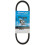 Dayco HP3019 Hi-Perf Drivrem Sort 1