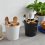 Kitchenware Cooking Tools Storage Rack Cutlery Rack B 5