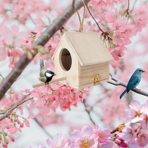 Nesting Box for Tits, Nesting Box Kit Robin, Bird House 2
