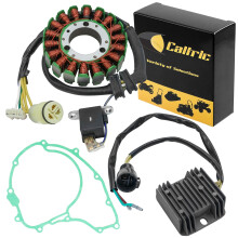 Caltric Stator & Regler & Dichtung kompatibel mit Honda Trx300 Trx-300 Fourtrax 300 19932000
