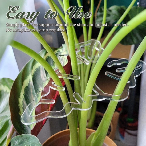 Turtle Shell Bamboo Clip Set, Transparent Plastic Plant Stem Holder 2