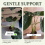 Turtle Shell Bamboo Clip Set, Transparent Plastic Plant Stem Holder 4