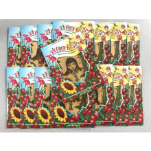 LA Chica FRESITA CAR AIR FRESHENER - 15 Pieces