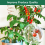 Gartenpfähle Gartenantenne Kupferstäbe Kupferdraht 43CM 4