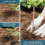 Gartenpfähle Gartenantenne Kupferstäbe Kupferdraht 43CM 7