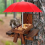 Wooden Squirrel Feeder Bird Pet Dining Table Bench 3