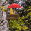 Wooden Squirrel Feeder Bird Pet Dining Table Bench 6
