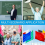 Telescopic Handheld Flagpoles, for Tour Guides Teacher Pointer E 5