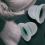 Silicone Eartips Eartips with Pressure Release Griping System 4