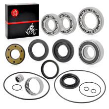 Rear Differential & Axle Bearing and Seal O Ring Kit Compatible with Suzuki Quadsport Z250 Ozark 250 LTF250 LTZ250 20022014