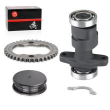 Kit di attrezzatura a pignone a camme e camma per Honda TRX300EX TRX300X 1993-2009 Fourtrax 250 Trx250x 1987-2002