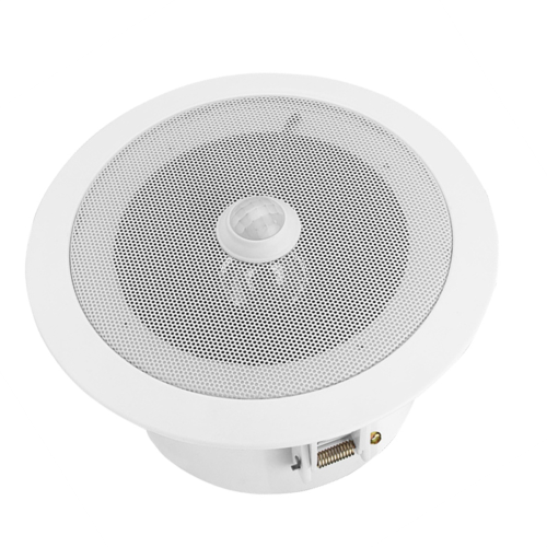 Overhead Motion Activated Audio Player PIR Triggered Ceiling Speaker