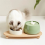 Ceramic Cat Water Fountain USB Charging Automatic Filtration 7