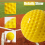 10 Pack Baseballs Training Ball ,9 Inch Pitching Machine 7