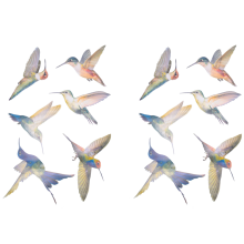 6 Pcs Large Size Bird Clings Anti-Collision Window