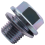 2Pcs Oil Pan Drain Bolt Plug with Washer for Accord 3