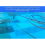 5M Swimming Pool Vacuum Cleaner Hose Tool 9