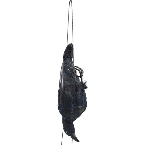 Realistic Hanging Dead Crow Decoy Extra Large Black Feathered 2