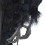 Realistic Hanging Dead Crow Decoy Extra Large Black Feathered 4