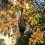 Realistic Hanging Dead Crow Decoy Extra Large Black Feathered 9