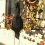 Realistic Hanging Dead Crow Decoy Extra Large Black Feathered 8