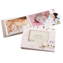 Lillian Rose Fotoalbum mit Fotorahmen auf dem Einband, rosa Eule, 4,75 x 7 Zoll