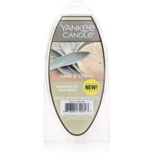 Yankee Candle SAGE & Citrus 6-Pack tuoksuva vaha sulaa