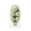 Yankee Candle Yankee Candle SAGE & Citrus 6-Pack Doftvax smlter 2