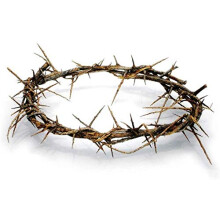 Authentic Biblical Lifesize 8"""" Crown of Thorns w/ Certificate