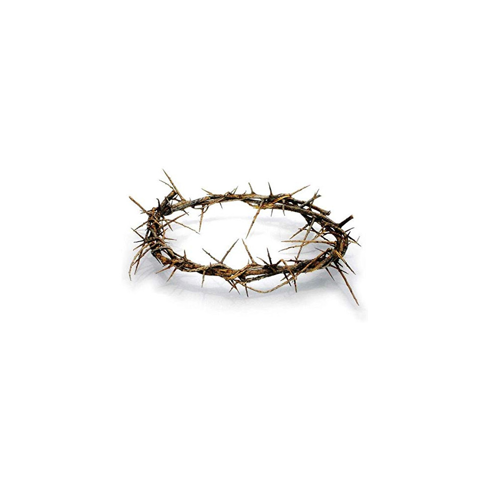 Jerusalem Authentic Biblical Lifesize 8"""" Crown Of Thorns W/ Certificate