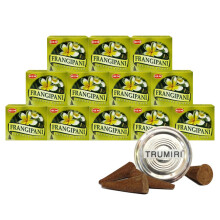 TRUMIRI Lot de 12 porte-cτnes d'encens avec ourlet Firangipani - Lot de 12 (environ 120 cτnes)