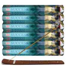 TRUMIRI Bundle met Incense Stick Holder en Hem Success 20g Sticks - 6 Stuks (Ongeveer 120 Sticks)