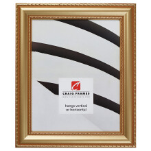 Craig Frames Victoria 17x23 Picture Frame Aged Gold