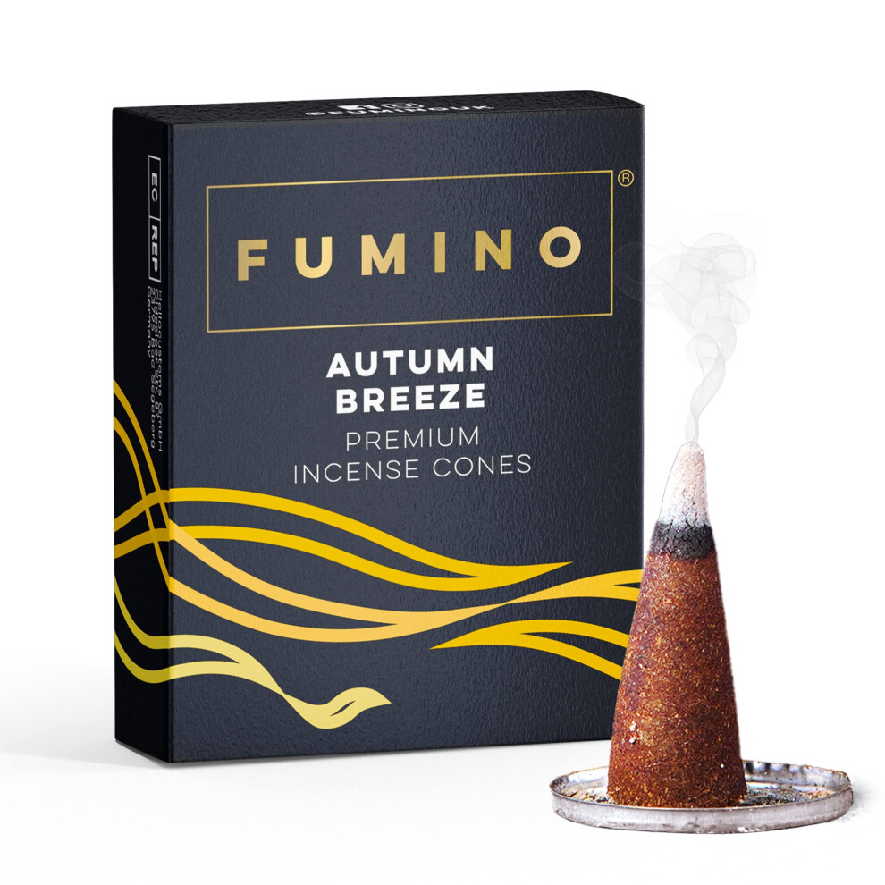Fumino Coco Cinnamon Fresh Incense Cones 20 per Box Masala Agarbatti Joss Scent Fragrance for Relaxation and Meditation Home and House D?cor-image-OPC-PJYFGD6-NEW