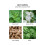 NEST New York Wild Mint & Eucalyptus Smart Home Duft Diffuser Refill S?t med 2 - Smart Vials 3