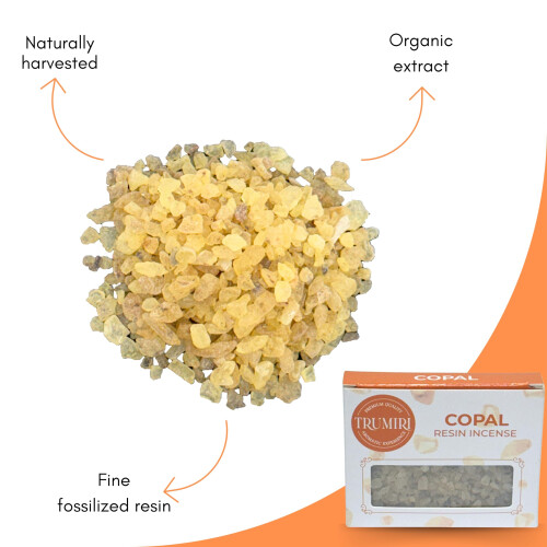Copal Resin Incense - Natural Tree Gum Sap - 30g Pack 2