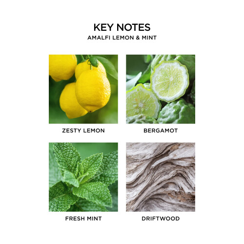 NEST New York Amalfi Citron & Mint Smart Home Duft Diffuser Refill S?t med 2 - Smarte h?tteglas 2
