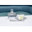 Abbott Collection 27-Antoine Beurrier Petit Dme Rond Transparent 2