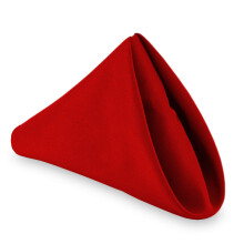 Lann's Linens - 1 dozzina di tovaglioli da tavola di stoffa di grandi dimensioni da 20"" - Tessuto in poliestere lavabile in lavatrice per ristora
