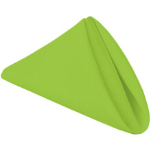 PLOYMONO Serviettes en tissu trs rsistantes vert herbe Serviettes de table en polyester lavables solides 43,2 x 43,2 cm Lot de 8 serviett
