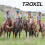 Troxel Liberty Bluestone Duratec Reithelm S 2